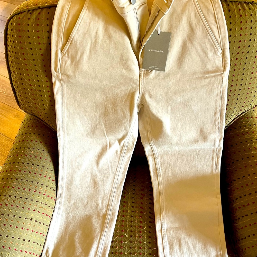Everlane Stretch Khakis